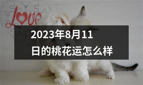 2023年8月11日的桃花运怎么样