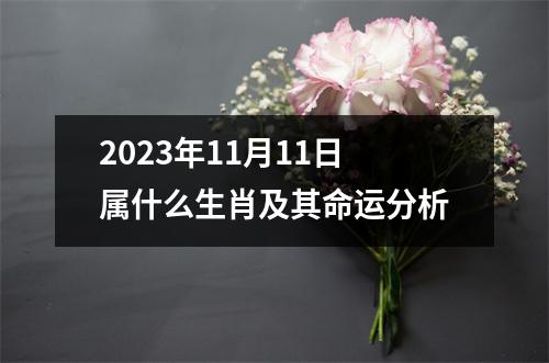 2023年11月11日属什么生肖及其命运分析