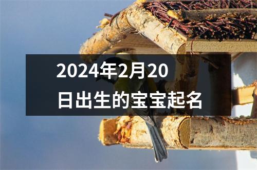 2024年2月20日出生的宝宝起名