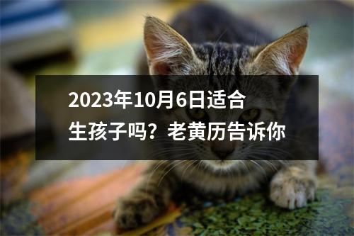 2023年10月6日适合生孩子吗？老黄历告诉你