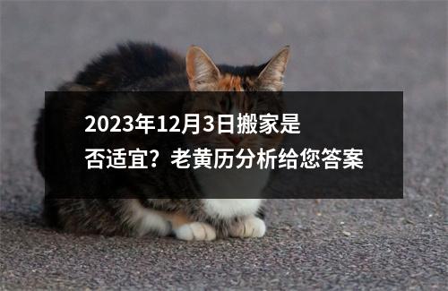 2023年12月3日搬家是否适宜？老黄历分析给您答案