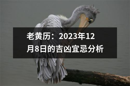 老黄历：2023年12月8日的吉凶宜忌分析