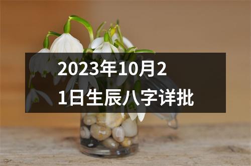 2023年10月21日生辰八字详批