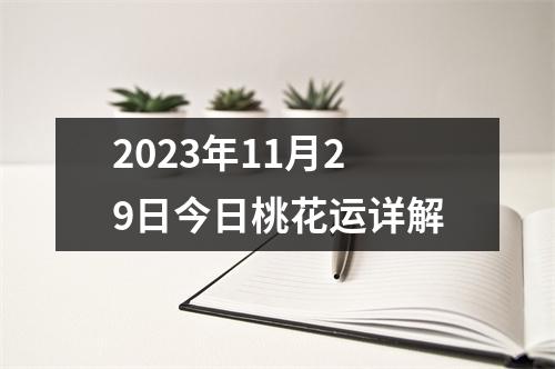 2023年11月29日今日桃花运详解