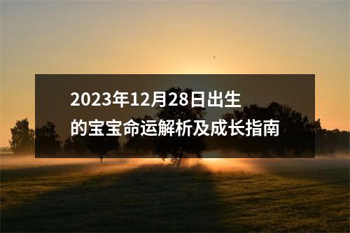 2023年12月28日出生的宝宝命运解析及成长指南