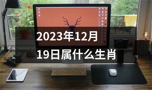 2023年12月19日属什么生肖