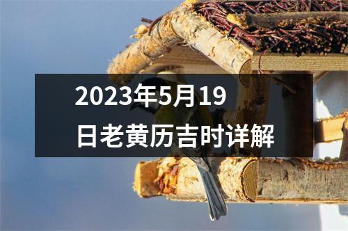 2023年5月19日老黄历吉时详解