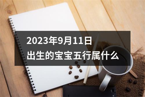 2023年9月11日出生的宝宝五行属什么