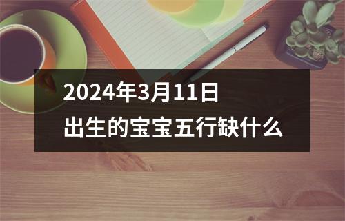 2024年3月11日出生的宝宝五行缺什么