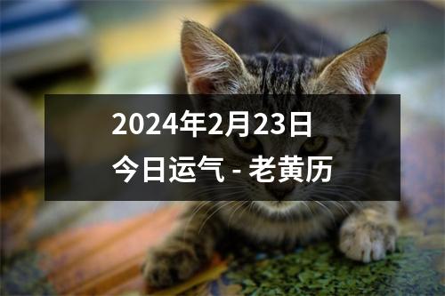 2024年2月23日今日运气 - 老黄历