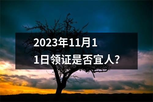 2023年11月11日领证是否宜人？