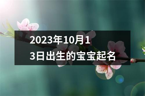 2023年10月13日出生的宝宝起名