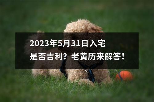 2023年5月31日入宅是否吉利？老黄历来解答！