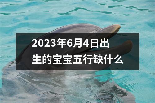 2023年6月4日出生的宝宝五行缺什么