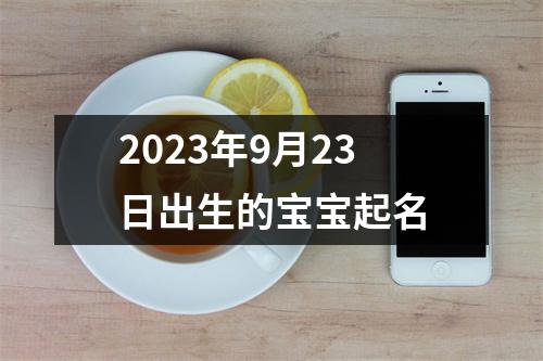 2023年9月23日出生的宝宝起名