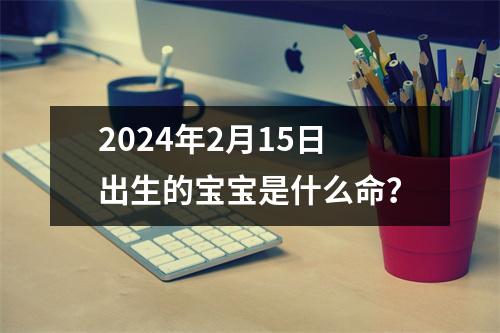 2024年2月15日出生的宝宝是什么命？