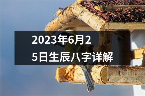 2023年6月25日生辰八字详解