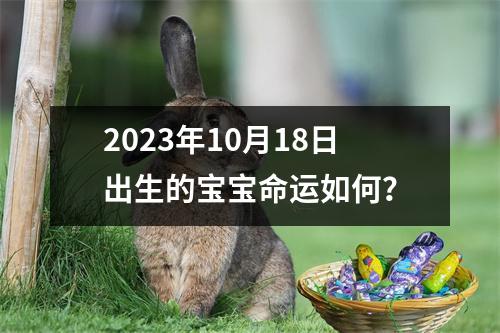 2023年10月18日出生的宝宝命运如何？