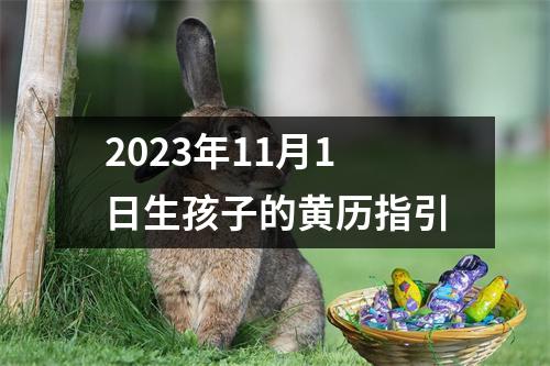 2023年11月1日生孩子的黄历指引