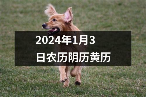 2024年1月3日农历阴历黄历