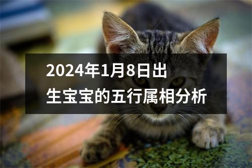 2024年1月8日出生宝宝的五行属相分析