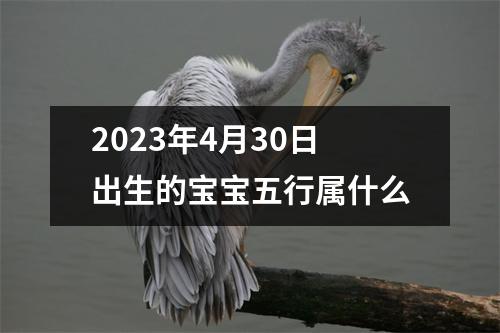 2023年4月30日出生的宝宝五行属什么