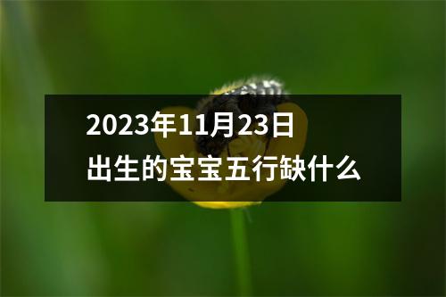 2023年11月23日出生的宝宝五行缺什么