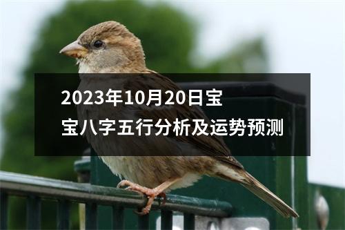 2023年10月20日宝宝八字五行分析及运势预测