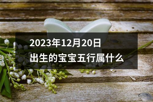 2023年12月20日出生的宝宝五行属什么