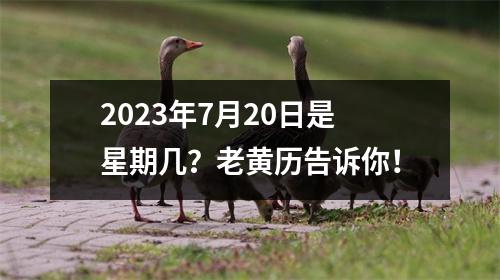 2023年7月20日是星期几？老黄历告诉你！