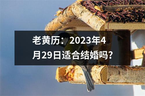 老黄历：2023年4月29日适合结婚吗？