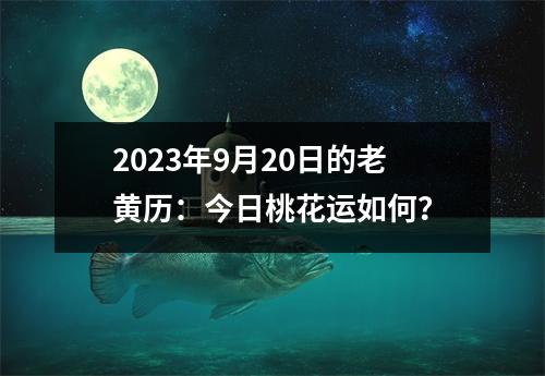 2023年9月20日的老黄历：今日桃花运如何？