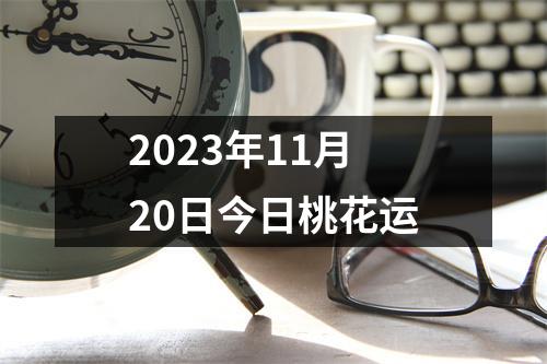 2023年11月20日今日桃花运