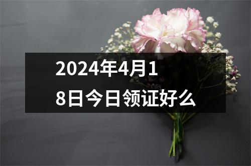 2024年4月18日今日领证好么