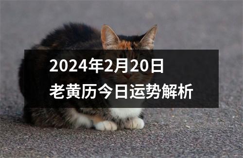 2024年2月20日老黄历今日运势解析