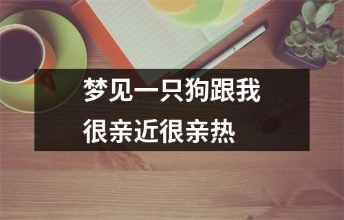 梦见一只狗跟我很亲近很亲热