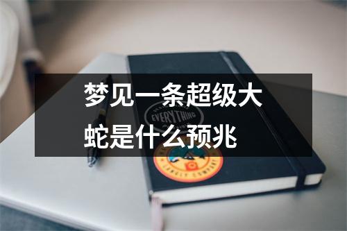 梦见一条超级大蛇是什么预兆