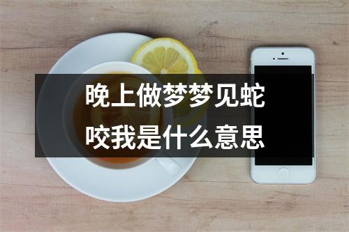 晚上做梦梦见蛇咬我是什么意思