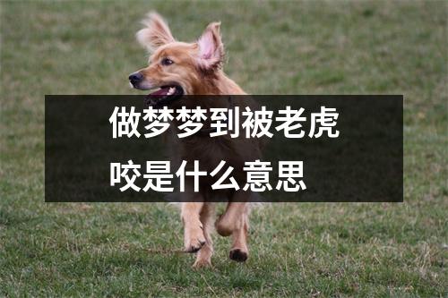 做梦梦到被老虎咬是什么意思