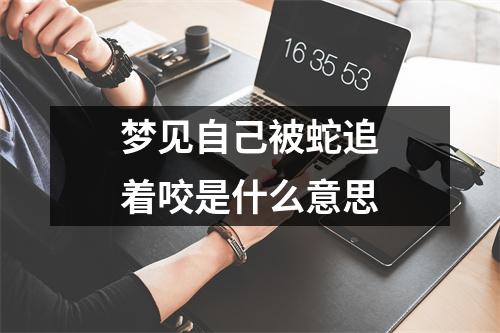 梦见自己被蛇追着咬是什么意思