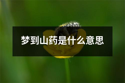 梦到山药是什么意思