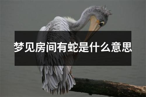 梦见房间有蛇是什么意思