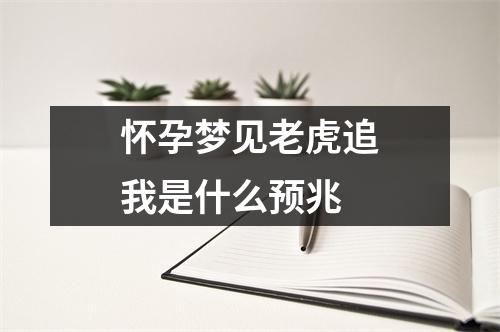 怀孕梦见老虎追我是什么预兆