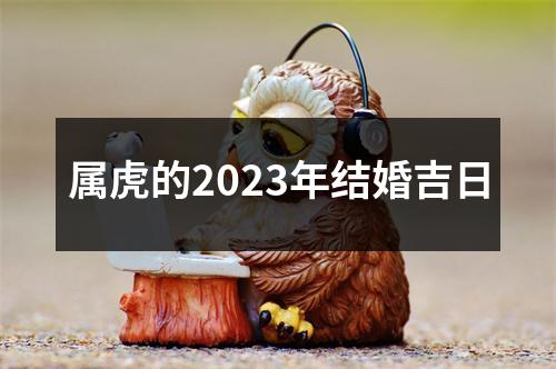 属虎的2023年结婚吉日