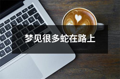 梦见很多蛇在路上