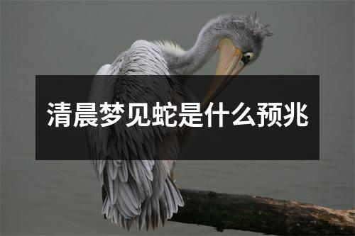 清晨梦见蛇是什么预兆