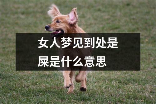 女人梦见到处是屎是什么意思