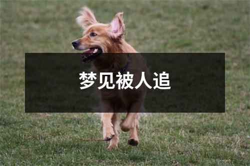 梦见被人追