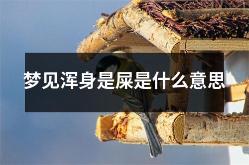 梦见浑身是屎是什么意思