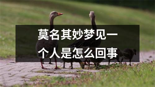 莫名其妙梦见一个人是怎么回事